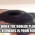 Your living free trial has expired | ME WHEN THE ROBLOX PLAYER SAYS BEDWARS IS FROM ROBLOX | image tagged in gifs,funny,funny memes,fun,roblox,minecraft | made w/ Imgflip video-to-gif maker