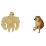 Buff Doge vs Crying Cheems square template