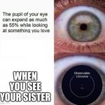 expanding eye | WHEN YOU SEE YOUR SISTER | image tagged in expanding eye | made w/ Imgflip meme maker