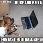 Duke and Bella | DUKE AND BELLA; MY FANTASY FOOTBALL EXPERTS | image tagged in duke and bella | made w/ Imgflip meme maker