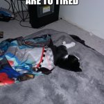 Sleep cat | WHEN YOU ARE TO TIRED; TO GET IN BED | image tagged in sleeping cat | made w/ Imgflip meme maker