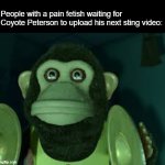 Toy Story 3 monkey waiting Animated Gif Maker - Piñata Farms - The best meme  generator and meme maker for video & image memes