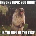 relatable | WHEN THE ONE TOPIC YOU DIDNT STUDY; IS THE 60% OF THE TEST | image tagged in screaming marmot,school | made w/ Imgflip meme maker