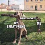 I have done this a lot tbh | THEIR STUDY NOTES; MY SMART FRIEND; ME | image tagged in dog with big stick and small dog | made w/ Imgflip meme maker