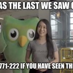 Who dun it? | THIS WAS THE LAST WE SAW OF THEM; CALL 552-771-222 IF YOU HAVE SEEN THIS PERSON | image tagged in duolingo plush | made w/ Imgflip meme maker