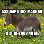 Donkey | ASSUMPTIONS MAKE AN; OUT OF YOU AND ME | image tagged in donkey | made w/ Imgflip meme maker