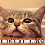 Me waiting for notifications on imgflip | ME WAITING FOR NOTIFICATIONS ON IMGFLIP | image tagged in waiting cat,memes,funny | made w/ Imgflip meme maker