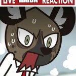 Live Haida Reaction