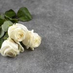 Memorial Service