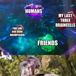 Thanos Infinity Stones | STRESS; SCHOOL; HUMANS; MY LAST THREE BRAINCELLS; THAT ONE GOD DANG WOODPECKER; FRIENDS; ME | image tagged in thanos infinity stones | made w/ Imgflip meme maker