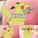 pikachu eating cake | COOKED DOG; ANY ASIAN | image tagged in pikachu eating cake | made w/ Imgflip meme maker