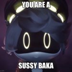 You are a Sussy Baka