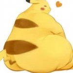 Obese Pikachu