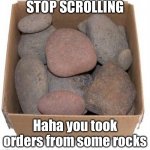 OMG LOOK | STOP SCROLLING; Haha you took orders from some rocks | image tagged in box of rocks | made w/ Imgflip meme maker