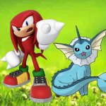 Knuckles and Vaporeon hanging out in a grassy field | image tagged in green background | made w/ Imgflip meme maker