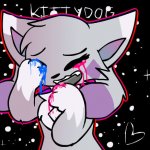 KittyDog Crying (Again)