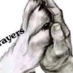 Praying Paws