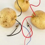 Potato template