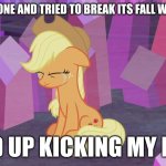 Applejack actually kicked it with her hoof? | DROPPED PHONE AND TRIED TO BREAK ITS FALL WITH MY FOOT; ENDED UP KICKING MY PHONE | image tagged in first world problem applejack | made w/ Imgflip meme maker