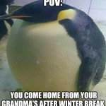 This is me fr | POV:; YOU COME HOME FROM YOUR GRANDMA'S AFTER WINTER BREAK | image tagged in i'm da biggest bird | made w/ Imgflip meme maker