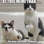 Good Job | IF YOU ARE LOOKING AT THIS MEME THAN....... You have survived, endured, and moved on from all of your bad days and past stress, gold star for you! | image tagged in thumbs up cats | made w/ Imgflip meme maker