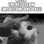 me petting my cat | ME PETTING 
MY CAT 
AFTER 
THE RES IS LOW
(WE BECOME ONE PIXEL) | image tagged in me petting my cat | made w/ Imgflip meme maker