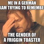 For the record, it’s masculine | ME IN A GERMAN EXAM TRYING TO REMEMBER; THE GENDER OF A FRIGGIN TOASTER | image tagged in memes,frustrated boromir | made w/ Imgflip meme maker