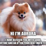 Doggo Template by Rainysky107 | HI I'M AURORA; I HAVE BLESSED YOU WITH GOOD FORTUNE AND AN A+ ON YOUR NEXT MATH TEST | image tagged in doggo template by rainysky107 | made w/ Imgflip meme maker