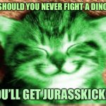 Dad joke RayCat | WHY SHOULD YOU NEVER FIGHT A DINOSAUR; YOU’LL GET JURASSKICKED | image tagged in happy raycat,memes,raycat,dad joke | made w/ Imgflip meme maker