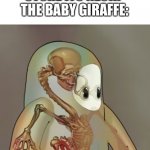 WAT | SOMEONE: WHY DOES THE BABY GIRAFFE STORE ITS NECK?

THE BABY GIRAFFE: | image tagged in fall guys skeleton | made w/ Imgflip meme maker