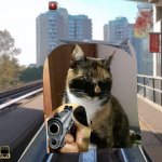 A cat with a gun meme
