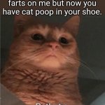 Don't get the cat mad at you | You blamed your farts on me but now you have cat poop in your shoe. | image tagged in pathetic cat,farts,cat poop,shoe,revenge | made w/ Imgflip meme maker