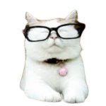 Catturd template
