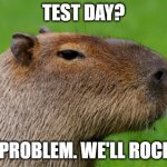 Anonymous Capybara | TEST DAY? NO PROBLEM. WE'LL ROCK IT. | image tagged in anonymous capybara | made w/ Imgflip meme maker