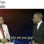 how did they know wtf (btw i actually am gay lol) | Me: I'm- 
Friends: | image tagged in why are you gay,memes | made w/ Imgflip meme maker