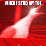 when stub toe | WHEN I STUB MY TOE | image tagged in angry seagull | made w/ Imgflip meme maker