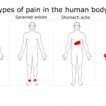 Types of pain in the human body