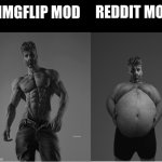 Self Image vs Reality GigaChad | IMGFLIP MOD; REDDIT MOD | image tagged in self image vs reality gigachad | made w/ Imgflip meme maker