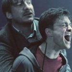 harry potter screaming