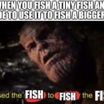 I used the stones to destroy the stones | WHEN YOU FISH A TINY FISH AND DECIDE TO USE IT TO FISH A BIGGER FISH; FISH; FISH; FISH | image tagged in i used the stones to destroy the stones,memes,funny,fish | made w/ Imgflip meme maker