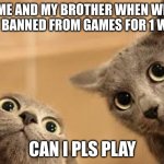 cat 2 with big eyes | ME AND MY BROTHER WHEN WE GOT BANNED FROM GAMES FOR 1 WEEK; CAN I PLS PLAY | image tagged in cat 2 with big eyes | made w/ Imgflip meme maker
