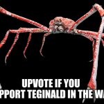 i dont really but ay do it also im not begging and i mean reginald not teginald | UPVOTE IF YOU SUPPORT TEGINALD IN THE WAR | image tagged in japanese spider crab,war,reginald,crab | made w/ Imgflip meme maker