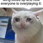 I hate when this happens | When your favorite song blows up and now everyone is overplaying it: | image tagged in crying cat,memes,funny,true story,relatable memes,music | made w/ Imgflip meme maker