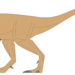 Paleo24 (Tyrannosaurus Rex form)