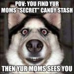 funni doggo | POV: YOU FIND YUR MOMS "SECRET" CANDY STASH; THEN YUR MOMS SEES YOU | image tagged in funni doggo | made w/ Imgflip meme maker
