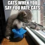 CatSniper | CATS WHEN YOU SAY YOU HATE CATS | image tagged in catsniper | made w/ Imgflip meme maker