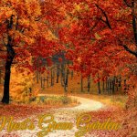 Road in Autumn | Maxi's Green Garden | image tagged in road in autumn,slavic,maxi's green garden,maxis green garden | made w/ Imgflip meme maker