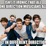 One Direction | ISNT IT IRONIC THAT ALL ONE DIRECTION MUSICIANS ALL; LEFT IN DIFFERENT DIRECTIONS | image tagged in one direction | made w/ Imgflip meme maker