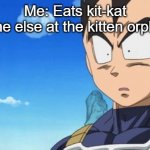 Oh frick... | Me: Eats kit-kat
Everyone else at the kitten orphanage: | image tagged in memes,surprized vegeta | made w/ Imgflip meme maker