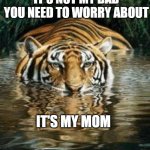 Worring about MOM | IT'S NOT MY DAD YOU NEED TO WORRY ABOUT; IT'S MY MOM | image tagged in tiger in water | made w/ Imgflip meme maker